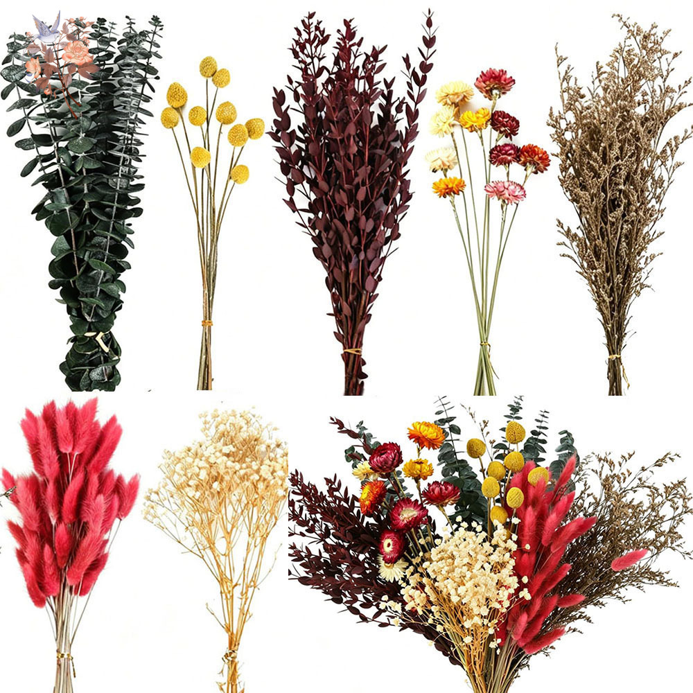 Dried Flowers Bulk Set 7 Kinds - Florist Supply Bulk review and price